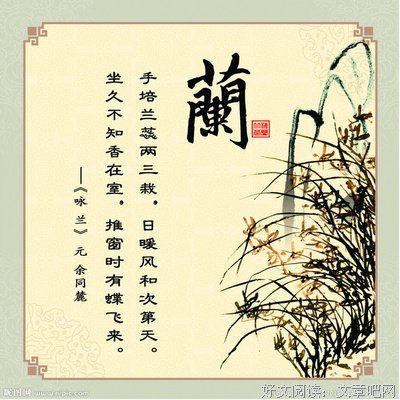 有关犹似的名句