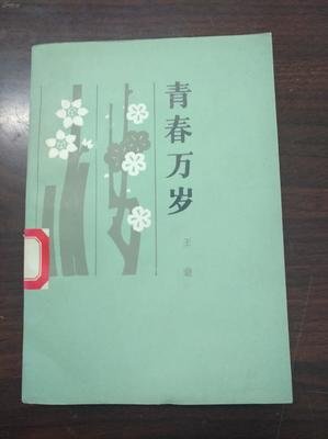 关于王蒙经典句子