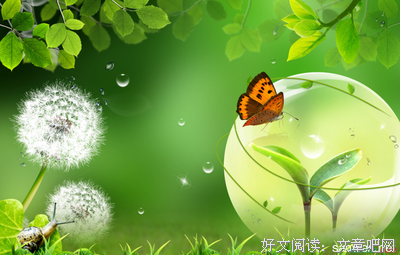关于瑞兹名句欣赏