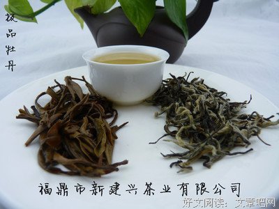 白茶的名言