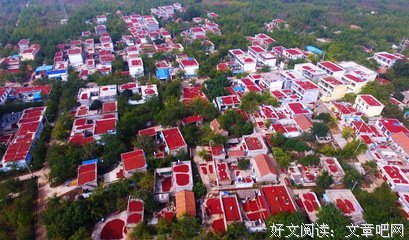 有关红枣精彩语录