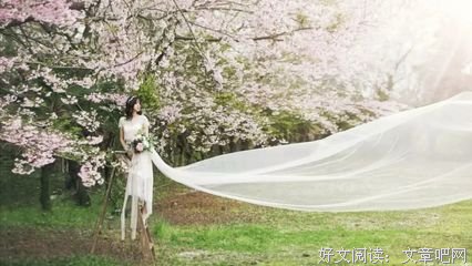 最经典的苏芩的名言