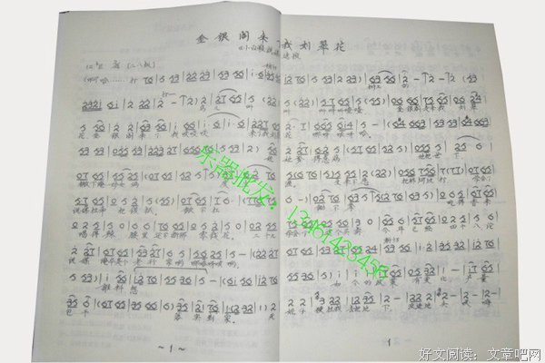 最经典的《穿越网王之音飘零》经典语录