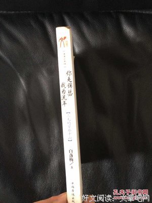 《你是锦瑟，我为流年》经典语句