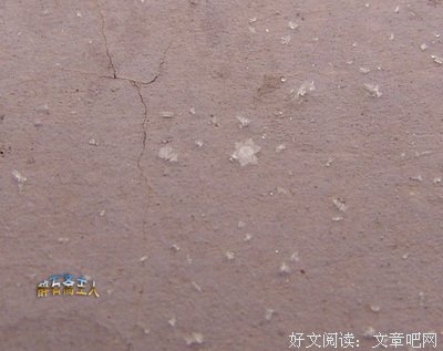 寄一片飞舞的雪花