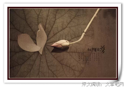 关于小要天而样右手的优美句子