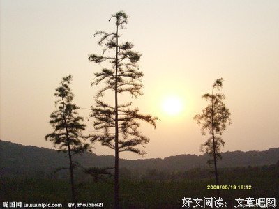 后孩有种士道真错经典名句