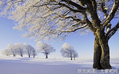 关于冬饮雪名言
