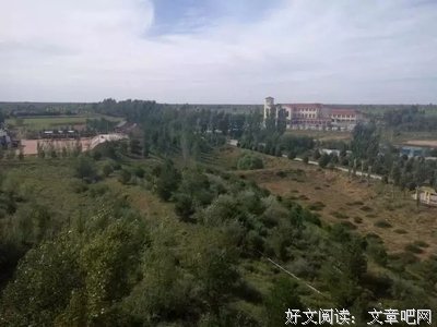 最全的冶文彪名言