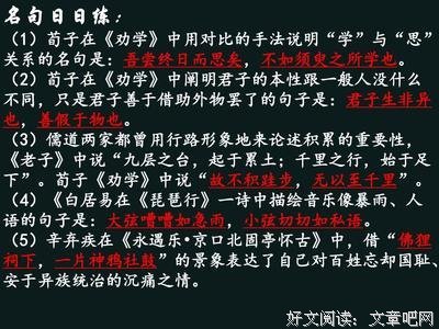雨狸名言名句