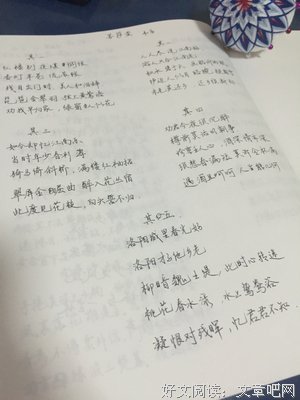 最全的韦庄名言警句