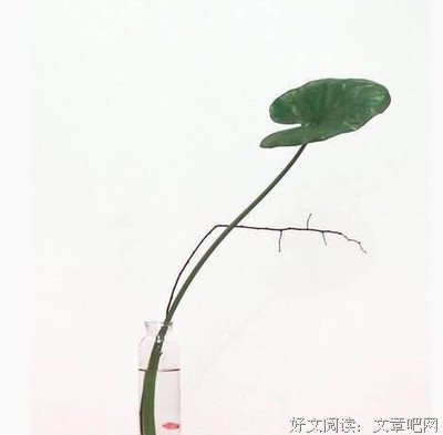 最全的颜歌经典语录