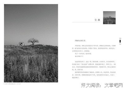 最新的七堇年名言