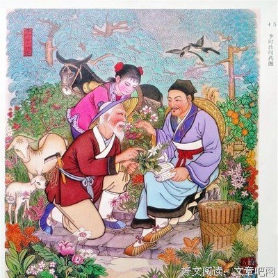 《安知我意》小说书摘大全