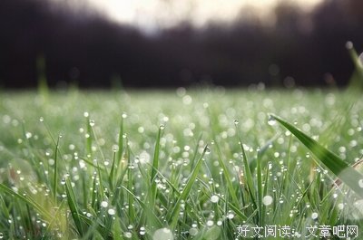 最全的《安知我意》经典语句