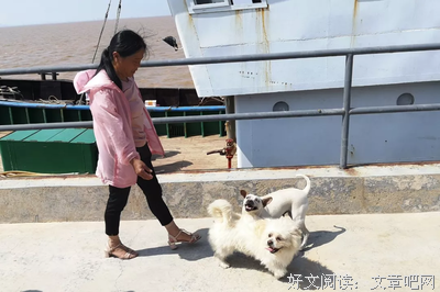 如果回到过去，你最想对逝去的亲人说什么？