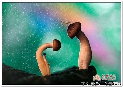 最全的《聊斋大圣人》经典语句