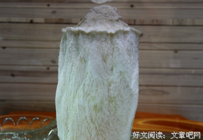 最新的《长生地就我发可千年》经典的句子