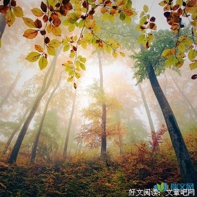 最经典的《遇见26个自我》语录摘抄