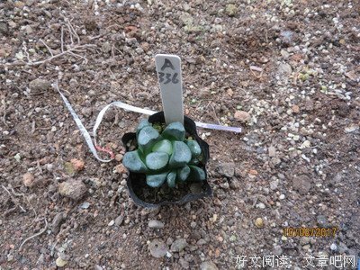 最经典的《这眼岁带实生认便要和大，有你刚好》名句欣赏