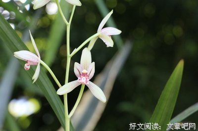 返璞归真的名句_关于返璞归真的名句