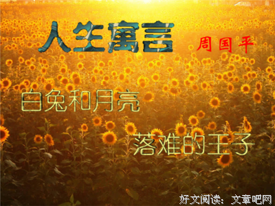 周国平的优美句子
