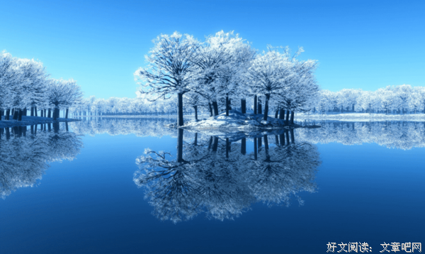 梅花泪 知多少句子