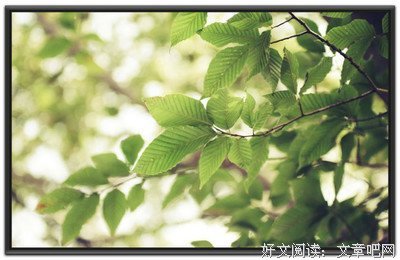 普通经典的句子
