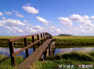 杂经典的句子