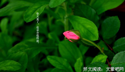 现代诗句