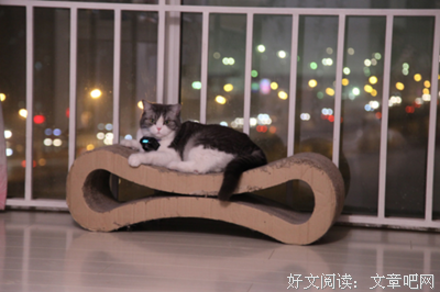 关于十四阙的名言