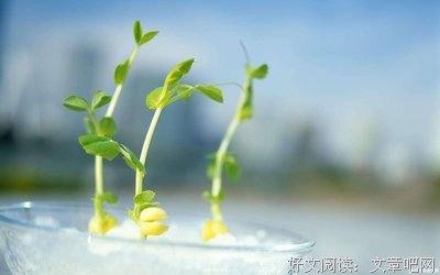有关商夏周名言