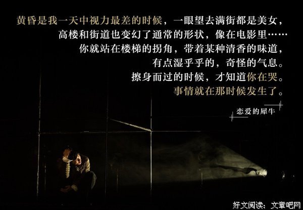 最新的廖一梅经典名句