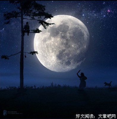 《到事忆是时光缩影》经典名句