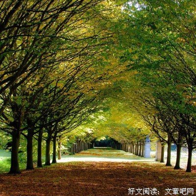 幸福，在于知足