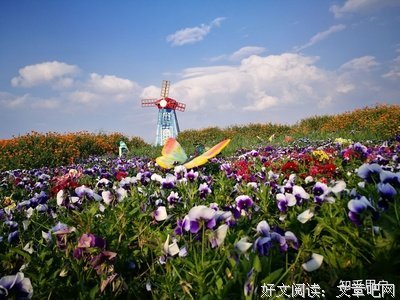 ▷分手72小时：爱过，恨过，没有你也要好好过。