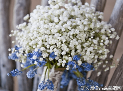 最新的《匆匆说风走年》好段摘抄