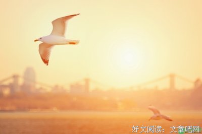 最全的《静下来，找回初心》小说摘抄大全