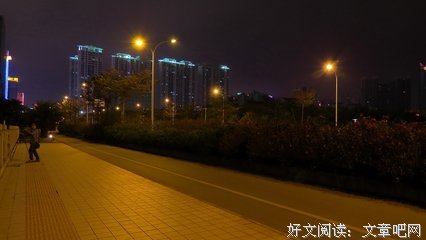 《殊途不同归》小说书摘