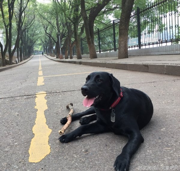 关于轻飘的名言