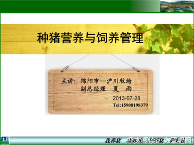 实录：“发情种猪，没房也想睡我？”