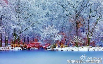 灵魂摆渡句子大全