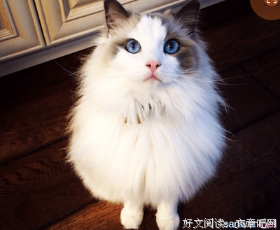 有关杂的句子
