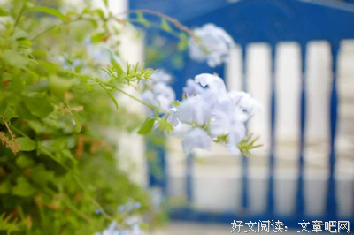 有关王嘉尔15句经典名言