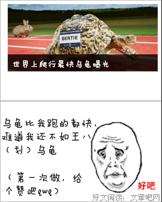 最经典的板栗子的名句