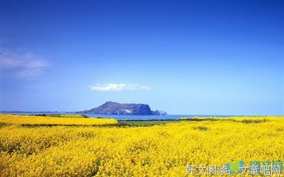 最全的《控制欲》经典语句大全