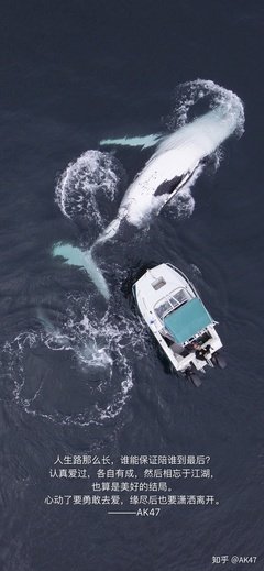 最新的《你有权保持沉默》语录摘抄