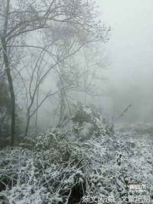 《凡心心语》名句欣赏大全