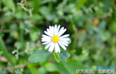 《深渊上的火》语录摘抄