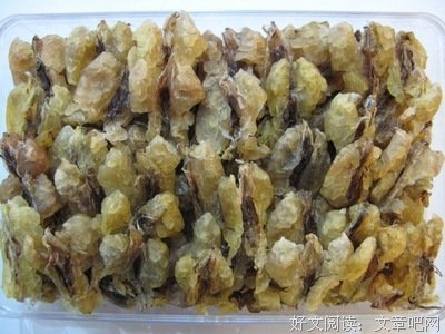 《蛙》小说摘抄大全